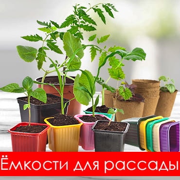 Ёмкости для рассады